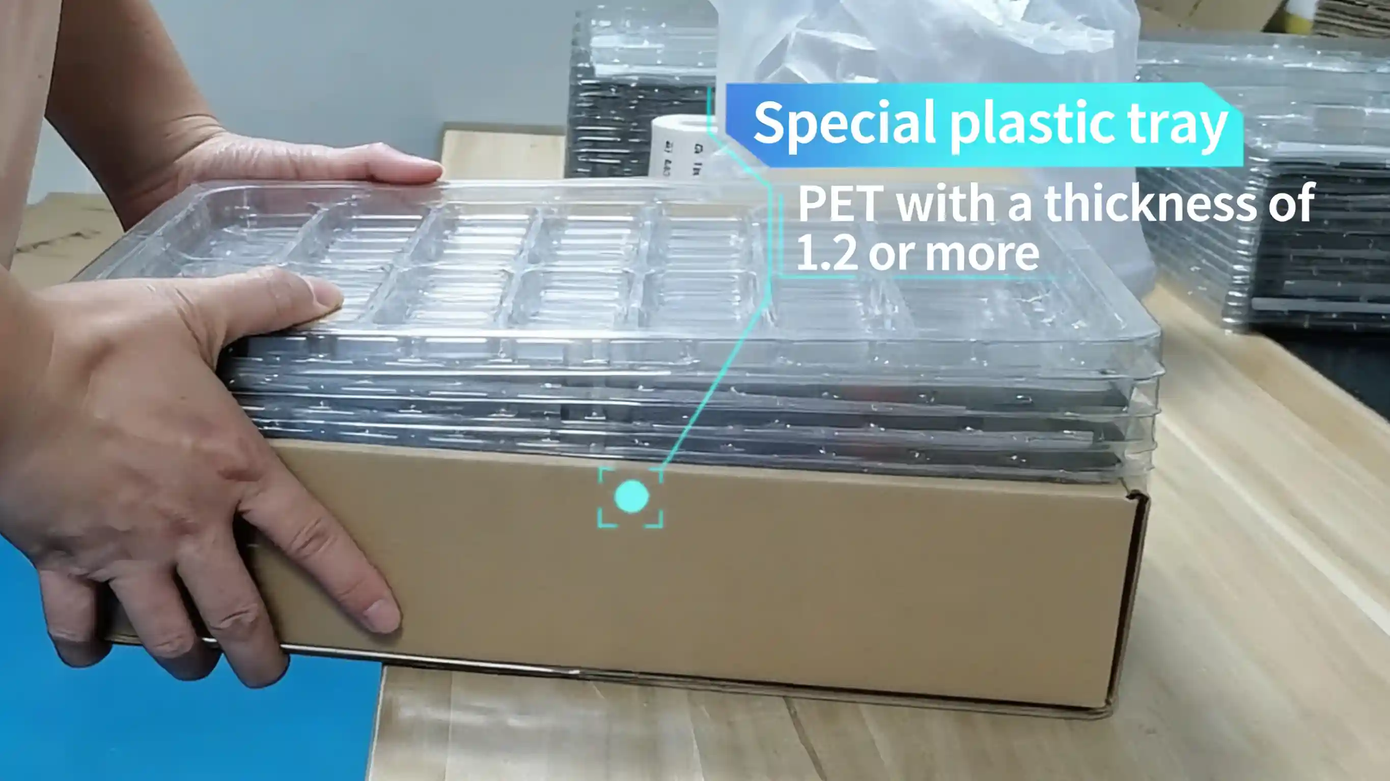 Reinforced PET Trays 